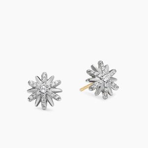 Estel Earrings