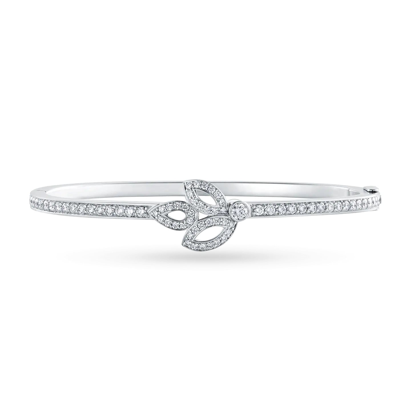 La fleur de Leo Bangle