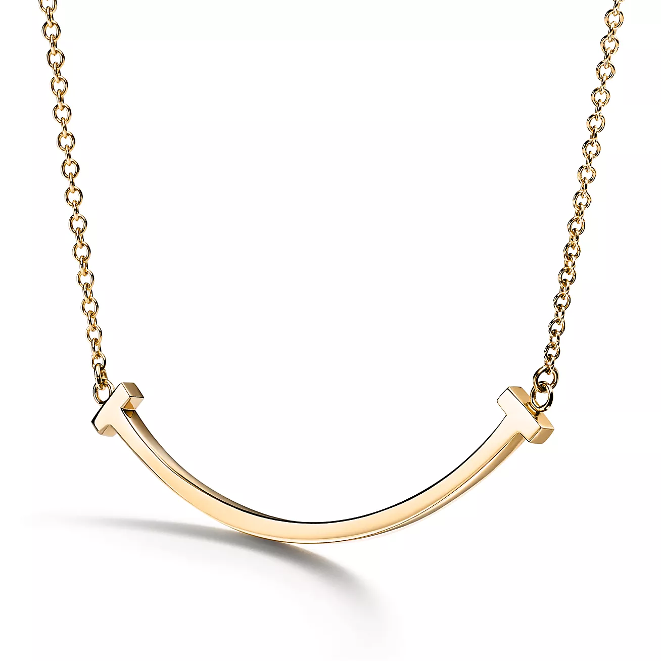 La Plaque de Leo Necklace