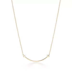 La Plaque de Leo Necklace